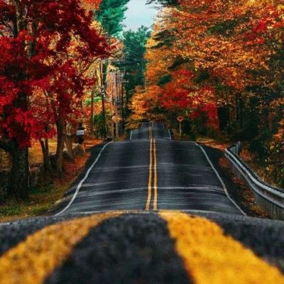 开云注册·官方网站