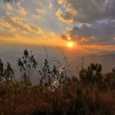 百人牛牛游戏软件