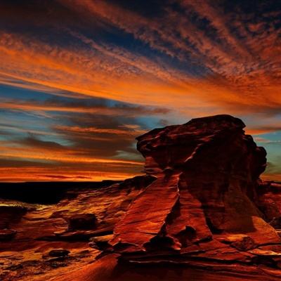 2023年新澳门今晚开特马下载手机版