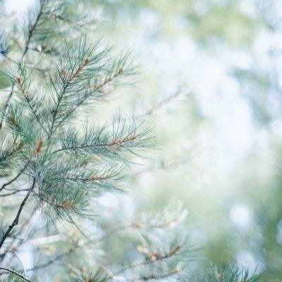 双赢彩票app下载