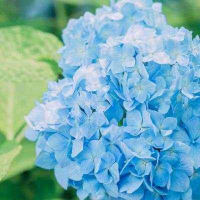 5848vip威尼斯电子游戏下载手机版