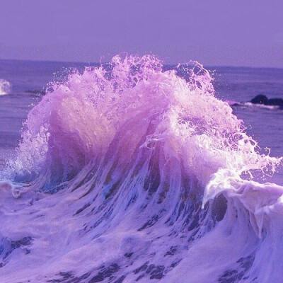 bet官网365app下载1069